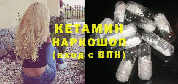прущие грибы Рославль