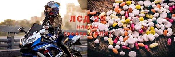 spice Белокуриха
