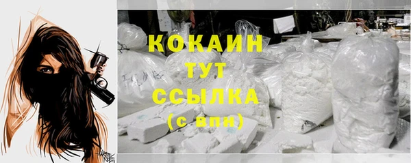 spice Белокуриха
