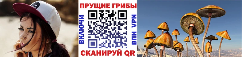 Псилоцибиновые грибы ЛСД  купить   Вытегра 